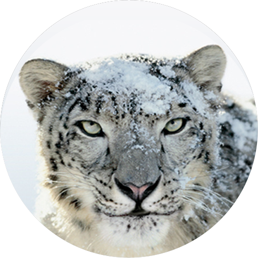Mac os x snow leopard retail dmg